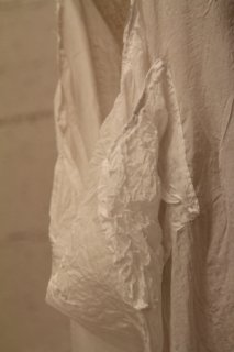 IMG_860811.jpg