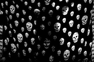 skull-full.jpg skull-full.jpg