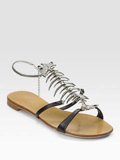 zanotti.jpg