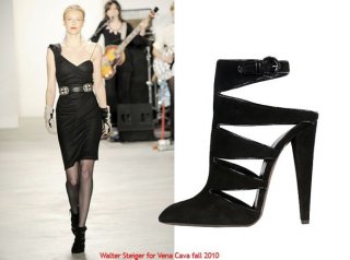 VenaCavaF:W2010-walter-steiger.jpg