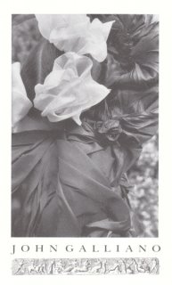 1-BelleDeCrecy.jpg
