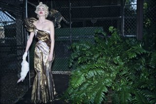 steven_klein_2_600x600.jpg