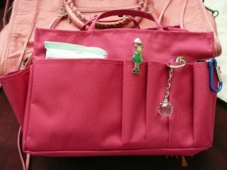 Pink Bag Organiser.JPG
