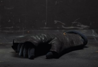 gloving-black[1].jpg