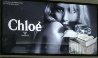 Chloe 2a.jpg