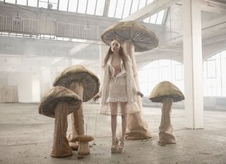 Picture-9-2.jpg