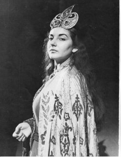 maria callas1 - book - performance.jpg