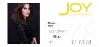 joymodels.png