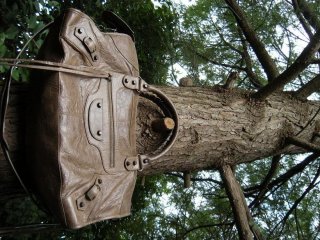 DSCN5838.JPG