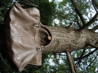 DSCN5839.JPG
