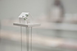 junya ishigami.jpg