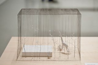 junya1.jpg