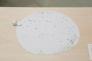 junya10.jpg