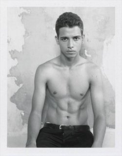 Collier-Schorr-another-homotography-1.jpg