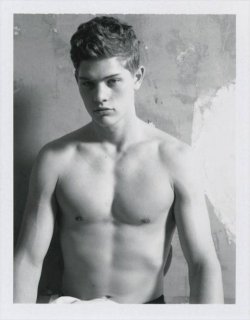 Collier-Schorr-another-homotography-4.jpg