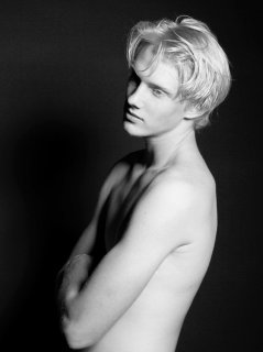 blondsc3.jpg