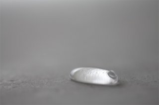 chn11_rpt22960_TM-008_500.jpg