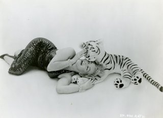 MMTiger.jpg