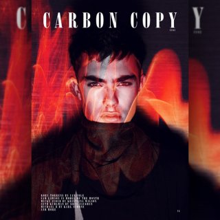 CarbonCopy03-RoryTorrens.jpg