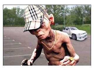 Lord of the Chavs.jpg