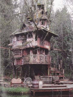 treehousechintz.jpg