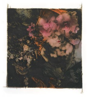 ellenrogers_piersatkinson_deanstephendaves.jpg