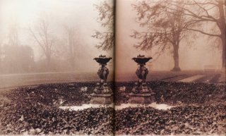 deborahturbeville_newport_01a.jpg