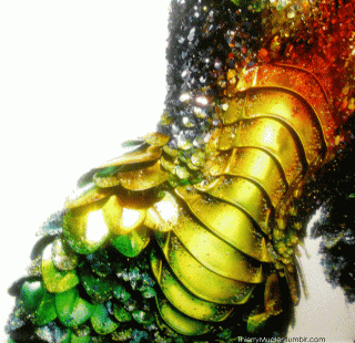 tumblr_lg347jj9ZW1qgv0ixo1_1280.gif