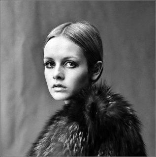 twiggy-pipr1.jpg