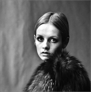 twiggy-pipr1b.jpg