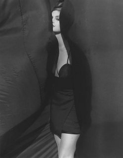 T1104_192.jpg