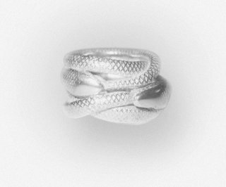 _____Snakes600x500.jpg