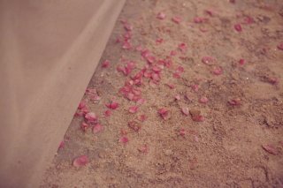 DECOR17-1323264220.jpg